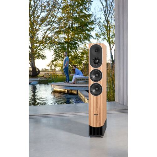 PMC Prophecy 9 - Mediterranean Oak (Paar)